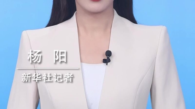 数据中台：揭秘其构建与厂商排名背后的逻辑